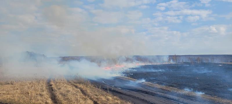 В нашем округе уже зарегистрированы первые случаи возгорания сухой растительности